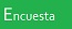 Encuesta06